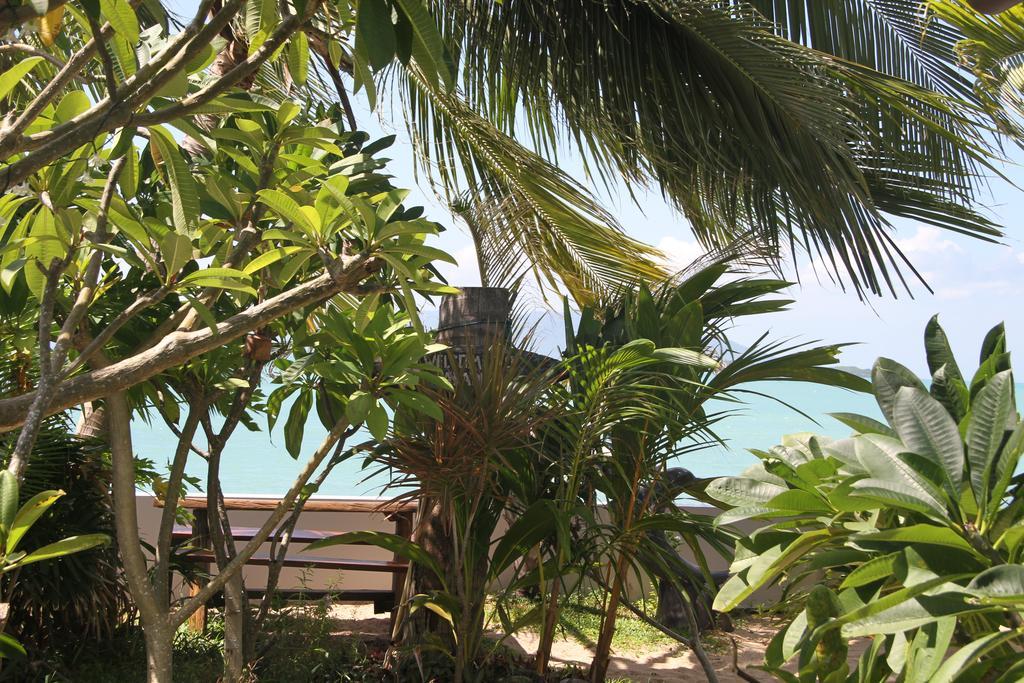 The Boardroom Beach Bungalows Bophut Pokój zdjęcie